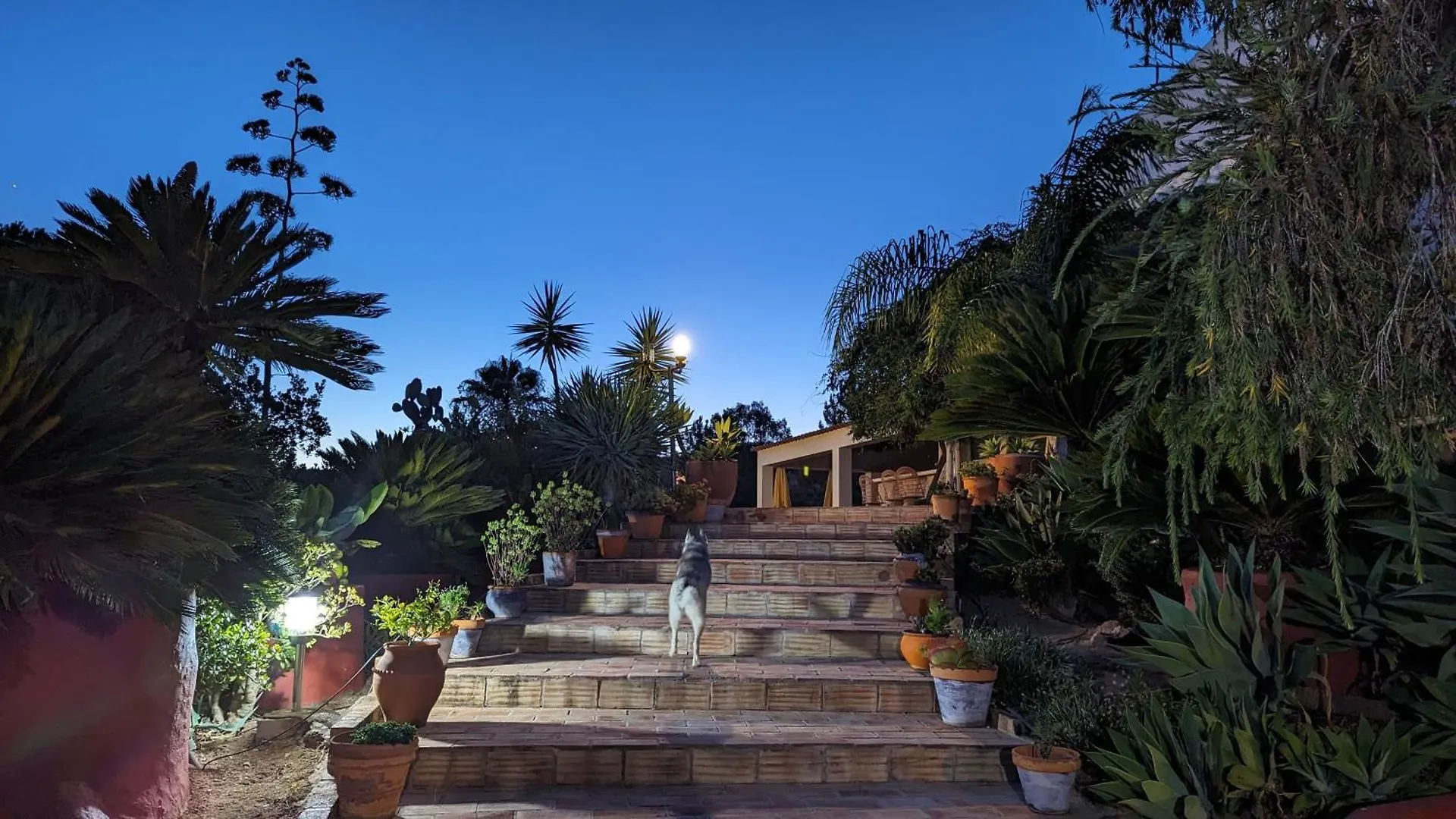 Bed & Breakfast Casa Do Palmeiral - Hoom B&B Montes de Cima